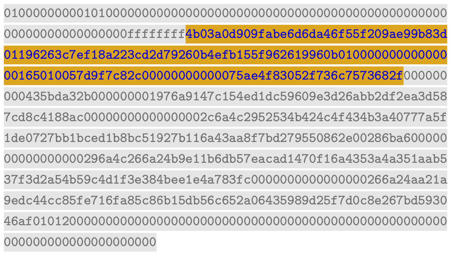Script Signature in the Coinbase Transaction of Block at Height 645,536